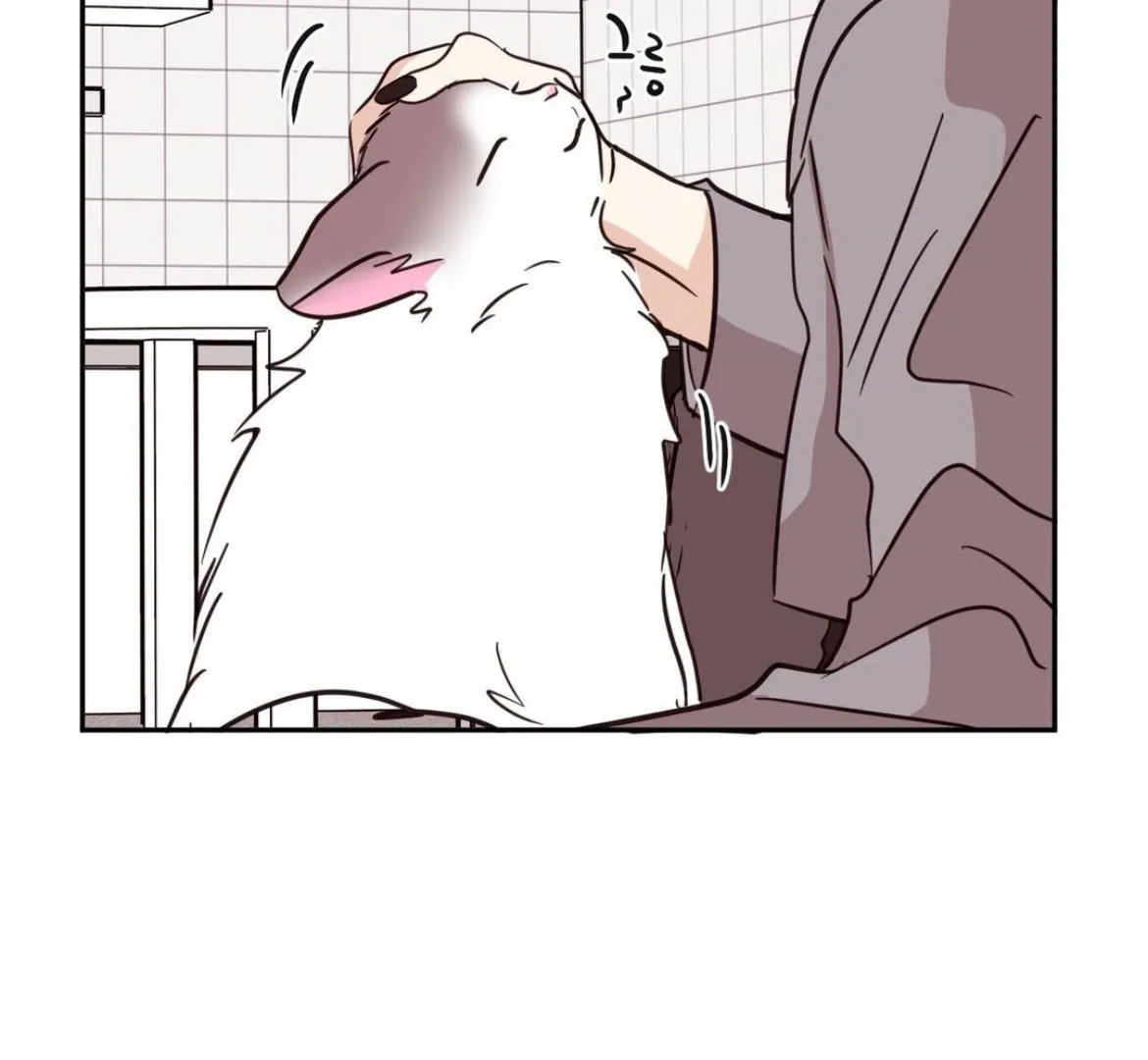 Involuntary Romance Chapter 26 page 36 - 