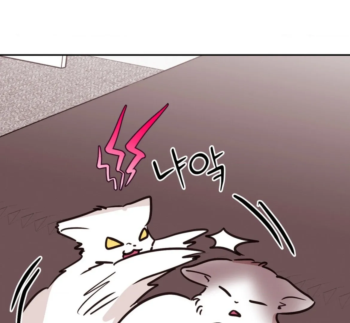 Involuntary Romance Chapter 29 page 17 - 