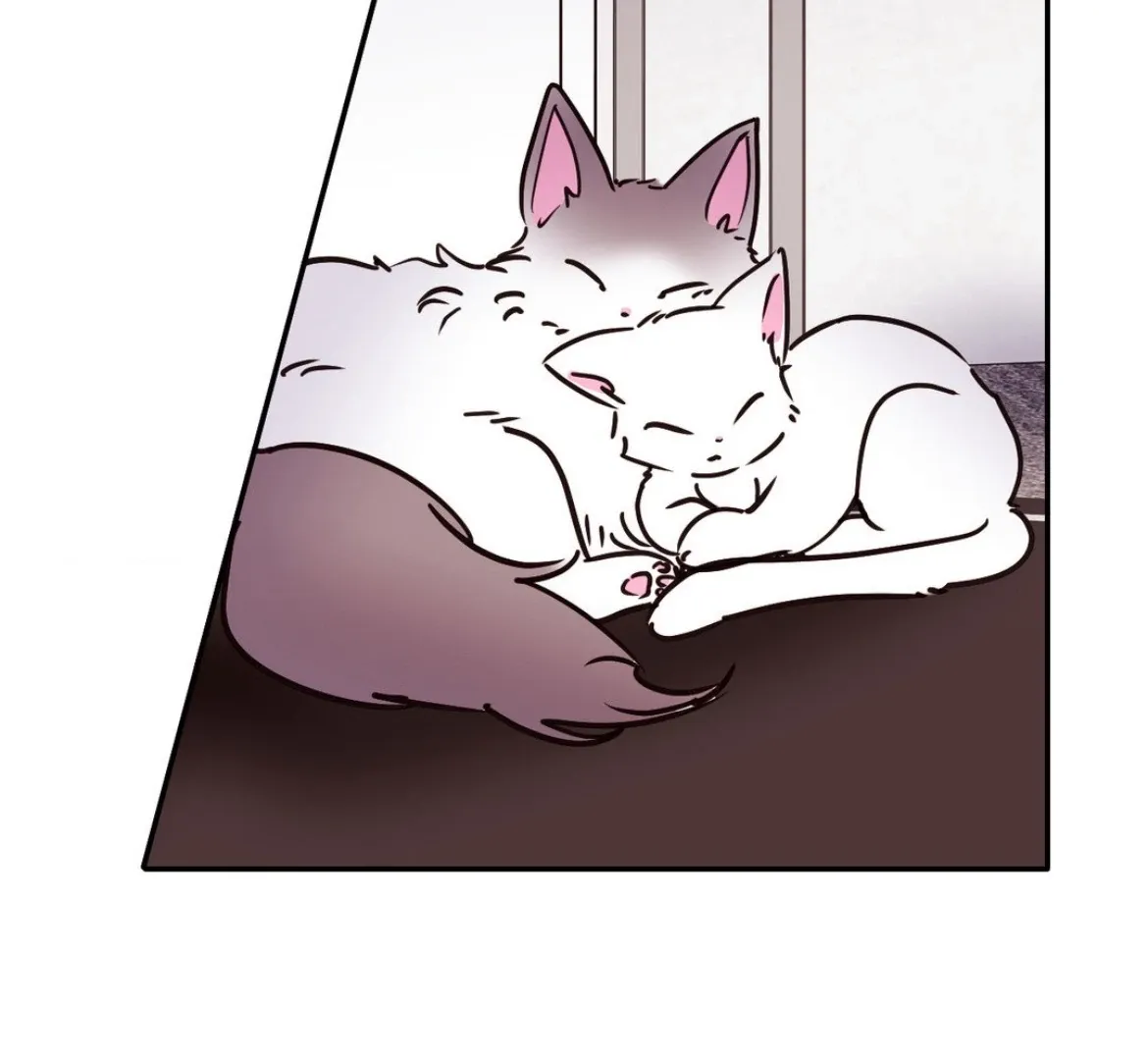 Involuntary Romance Chapter 39 page 48 - 