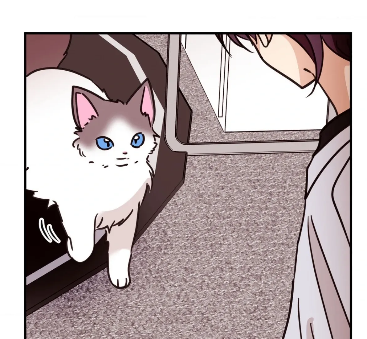Involuntary Romance Chapter 43 page 33 - 