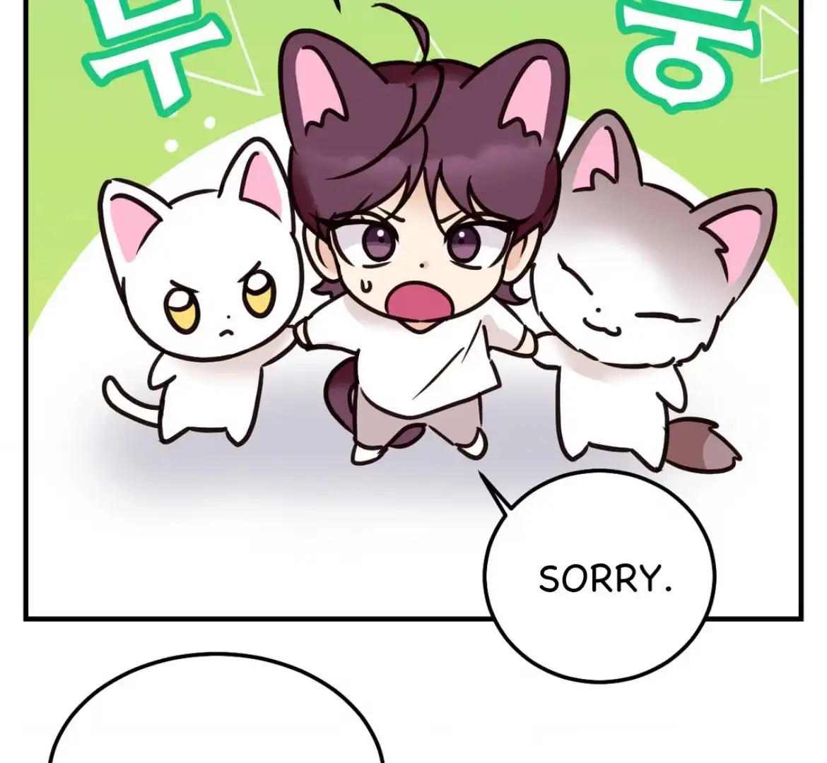 Involuntary Romance Chapter 47.6 page 27 - 