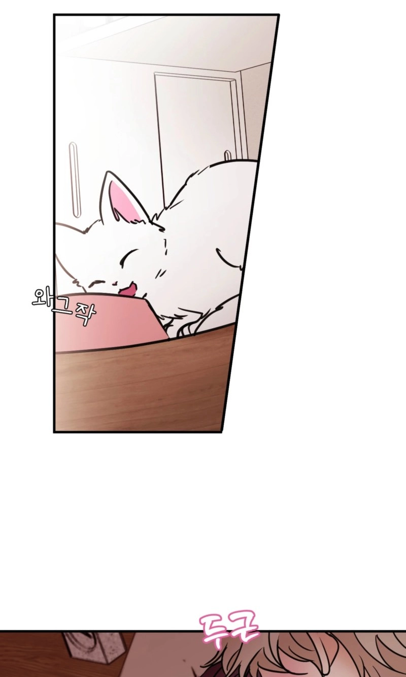Involuntary Romance Chapter 54 page 2 - 