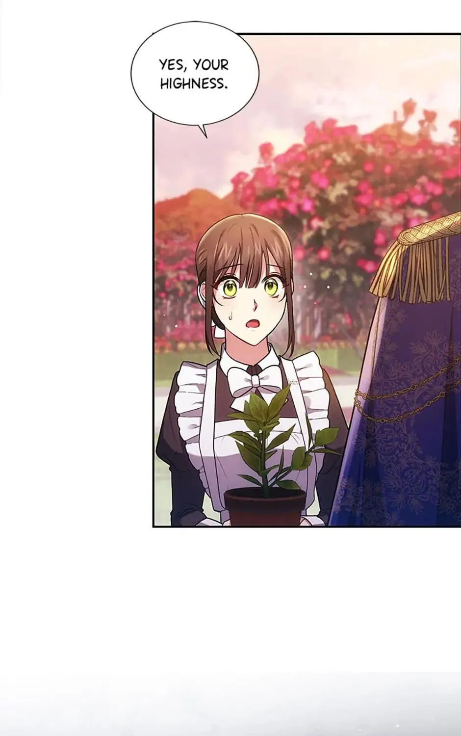 Read Iraine