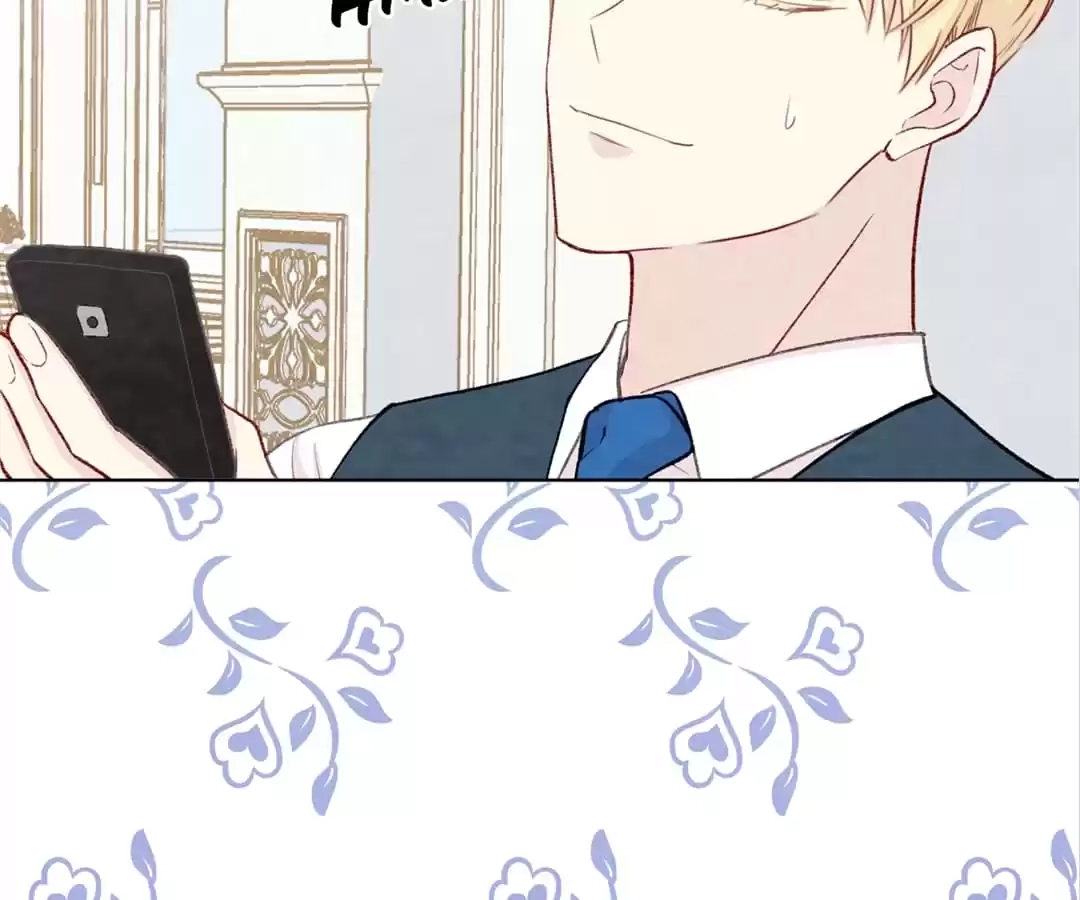 Iris: The Lady and Her Smartphone (Novel) Chapter 104 page 17 - 