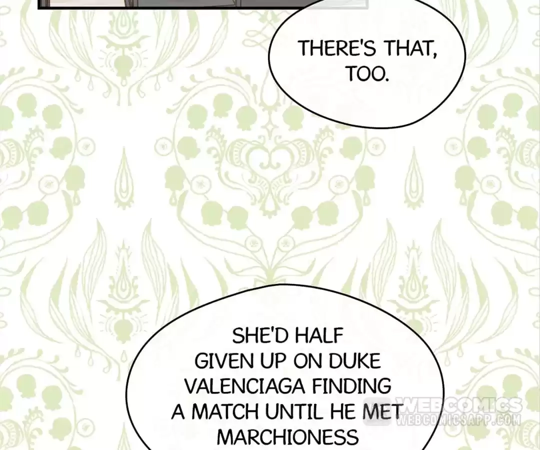 Iris: The Lady and Her Smartphone (Novel) Chapter 119 page 17 - 