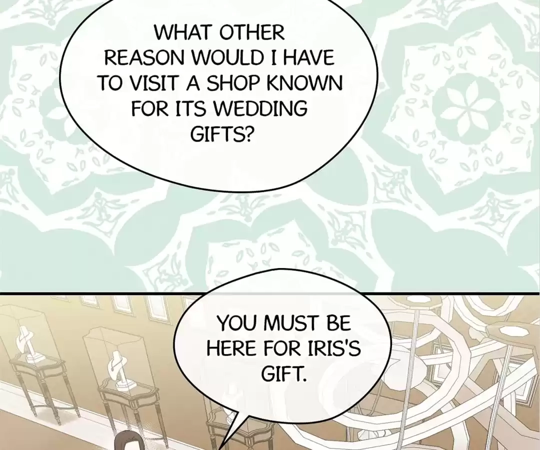 Iris: The Lady and Her Smartphone (Novel) Chapter 119 page 29 - 