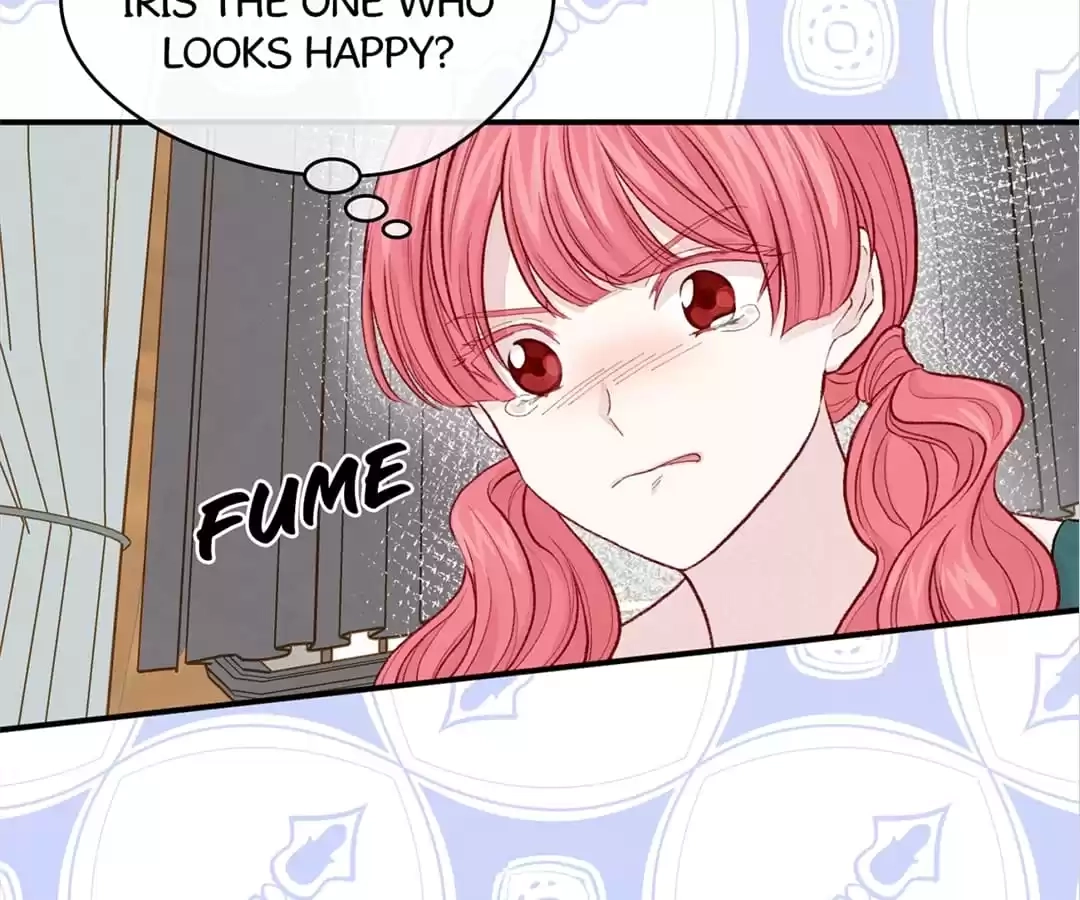 Iris: The Lady and Her Smartphone (Novel) Chapter 120 page 28 - 