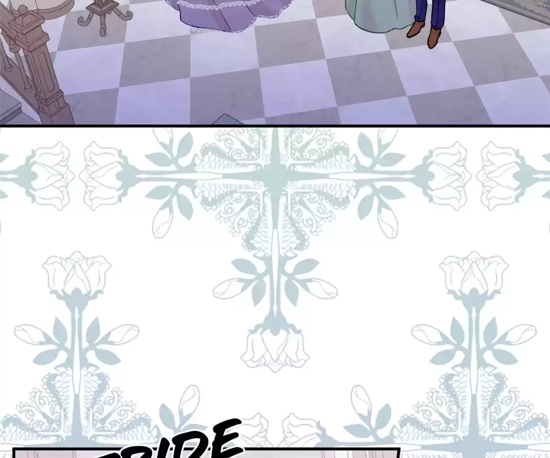 Iris: The Lady and Her Smartphone (Novel) Chapter 129 page 62 - 