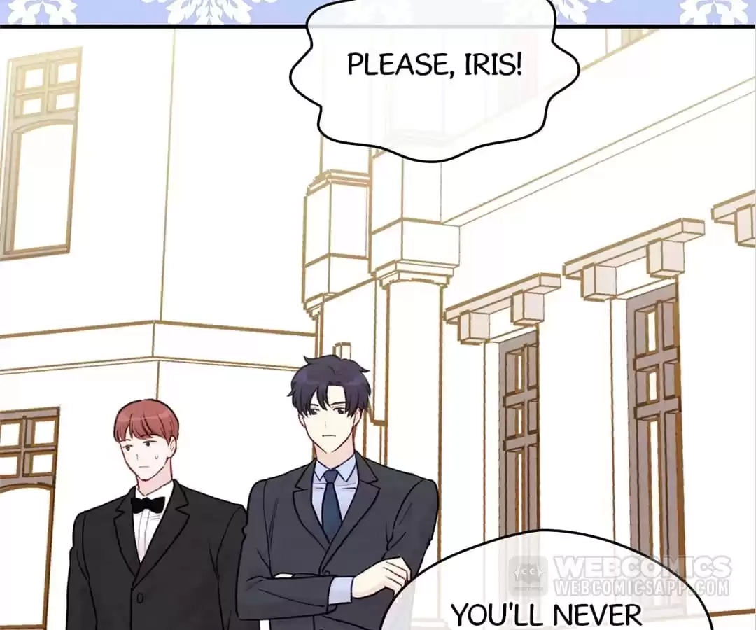 Iris: The Lady and Her Smartphone (Novel) Chapter 132 page 61 - 