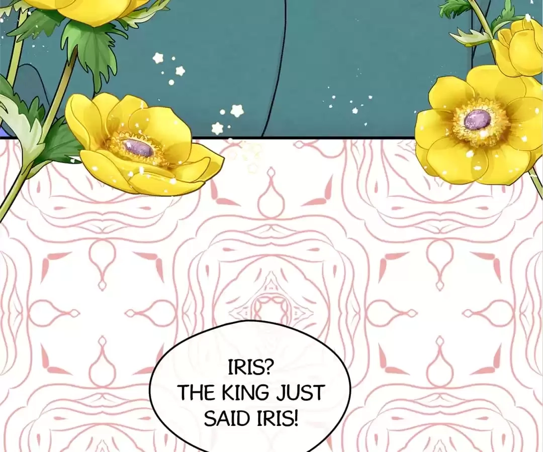 Iris: The Lady and Her Smartphone (Novel) Chapter 135 page 47 - 