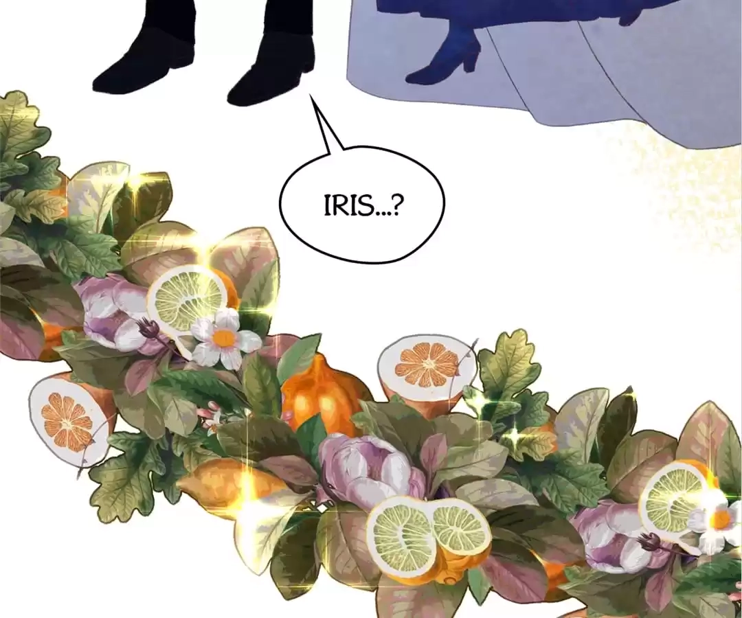 Iris: The Lady and Her Smartphone (Novel) Chapter 141 page 64 - 