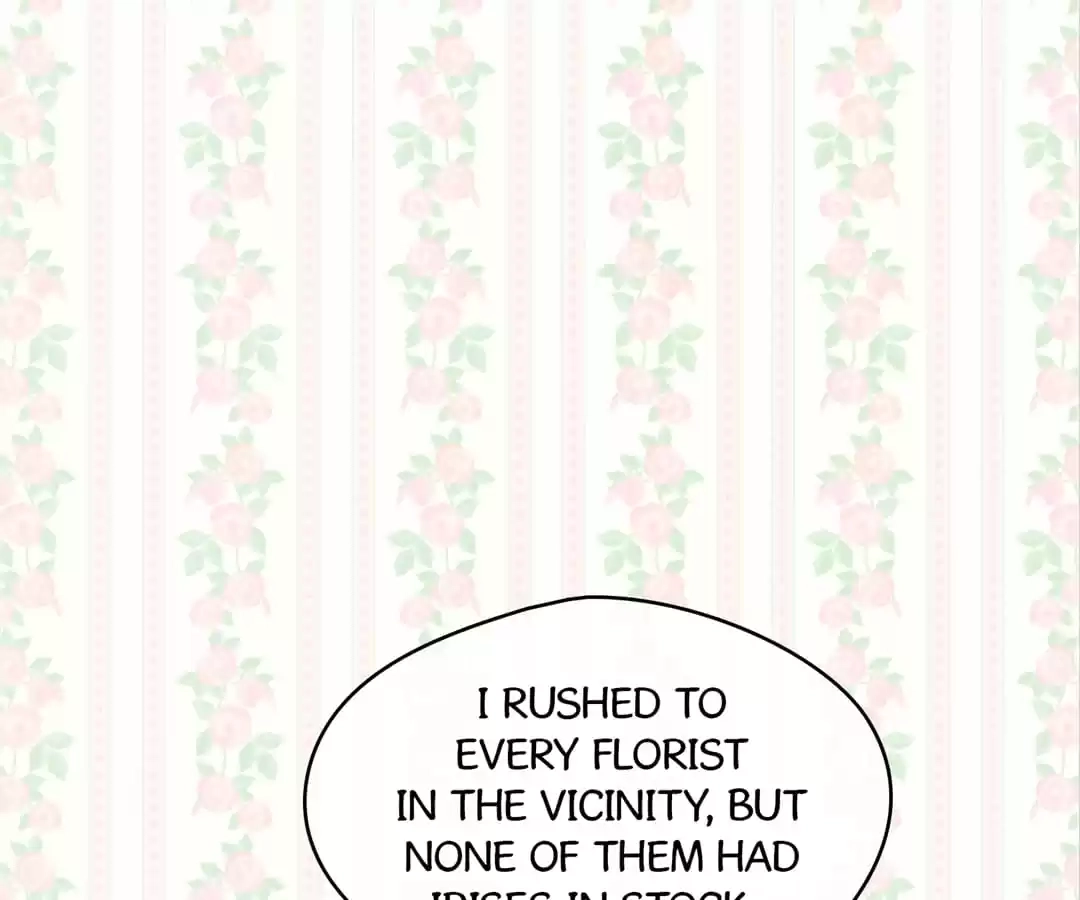 Iris: The Lady and Her Smartphone (Novel) Chapter 142 page 110 - 
