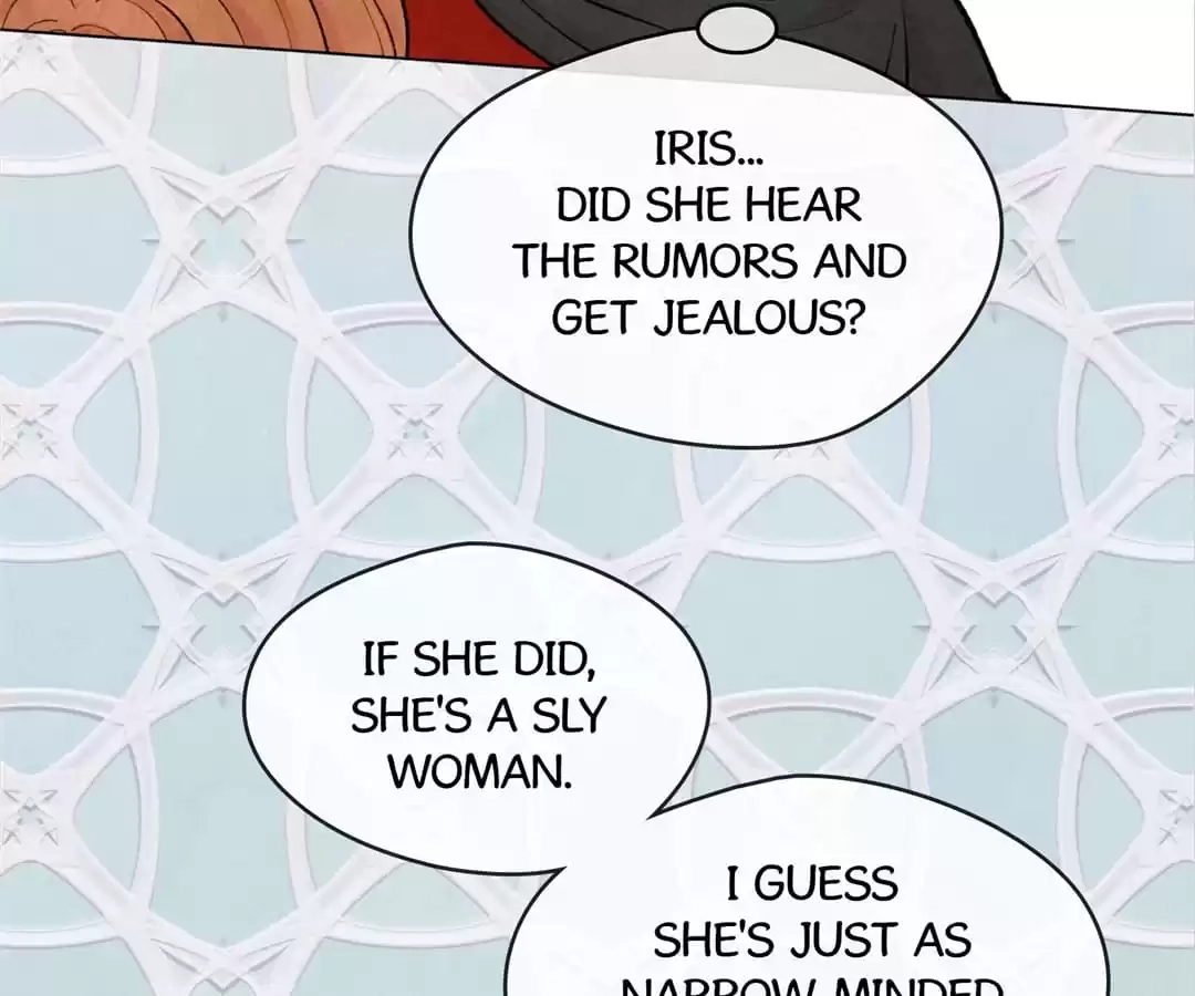 Iris: The Lady and Her Smartphone (Novel) Chapter 75 page 95 - 