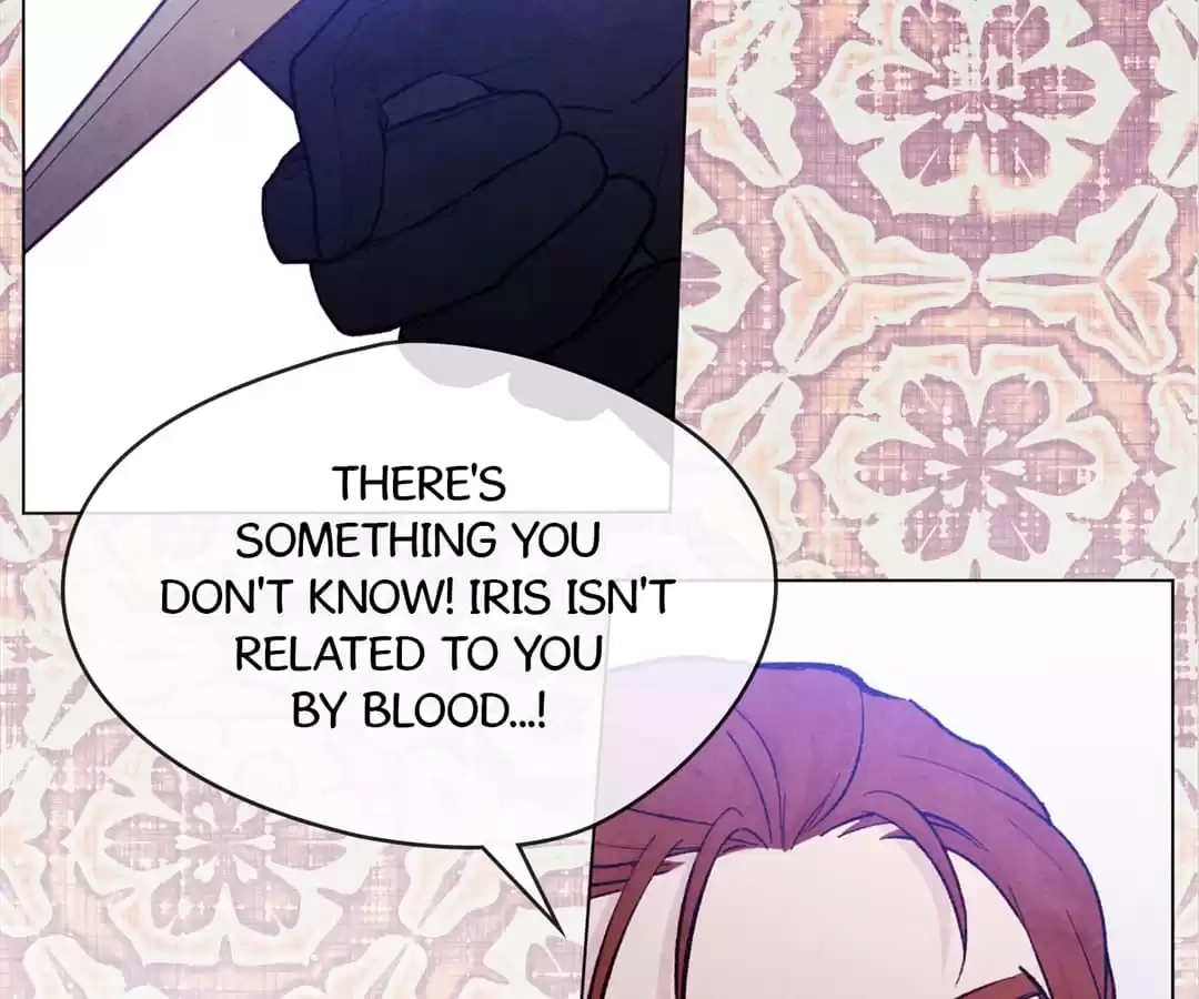 Iris: The Lady and Her Smartphone (Novel) Chapter 77 page 22 - 