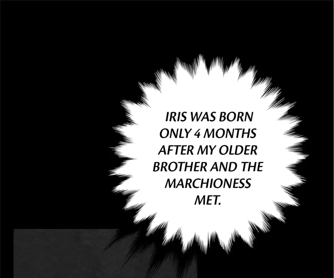 Iris: The Lady and Her Smartphone (Novel) Chapter 87 page 17 - 