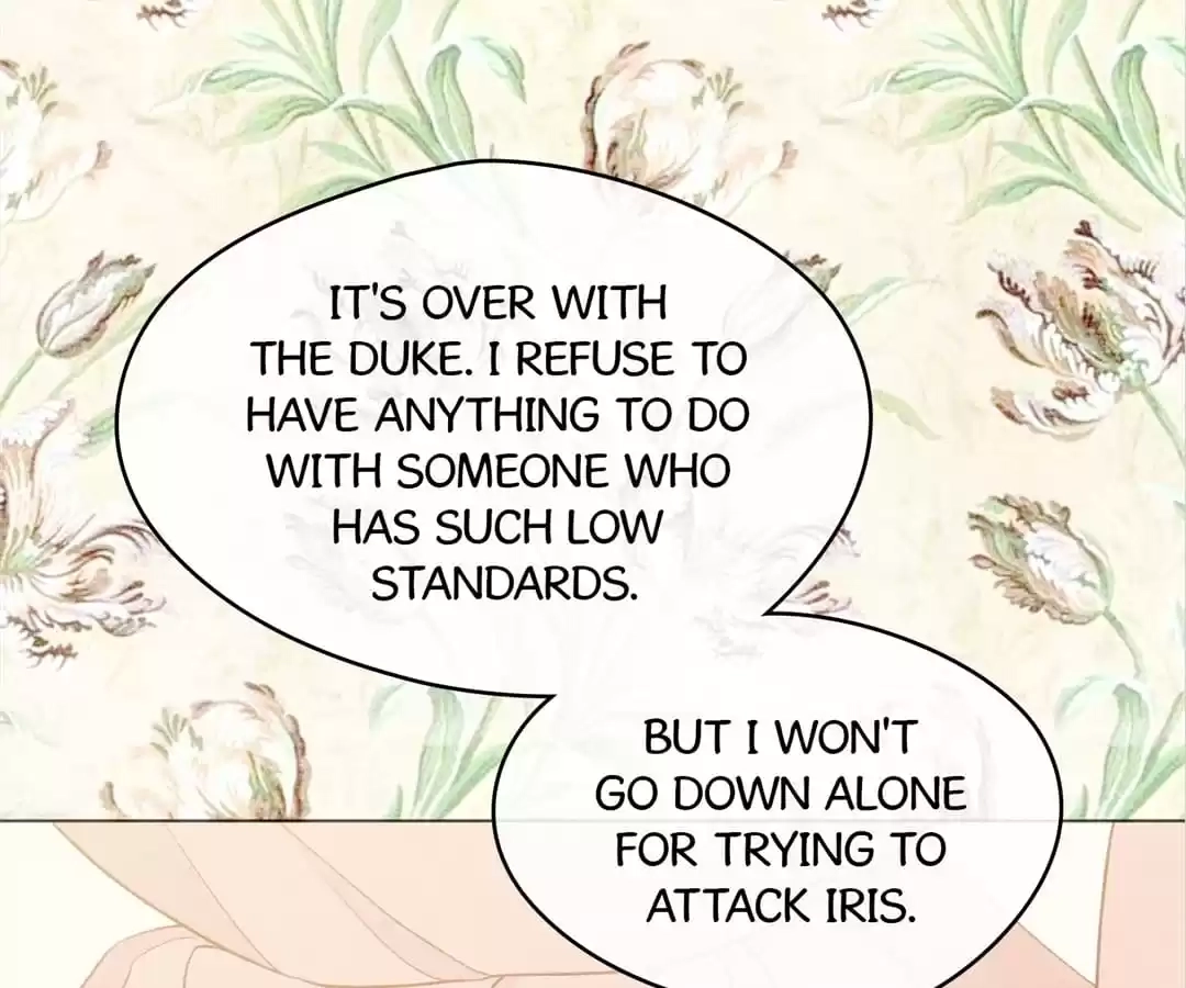 Iris: The Lady and Her Smartphone (Novel) Chapter 98 page 47 - 
