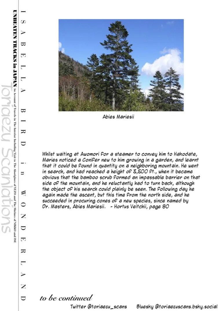Isabella Bird in Wonderland: Unbeaten Tracks in Japan Chapter 49.5 page 47 - 