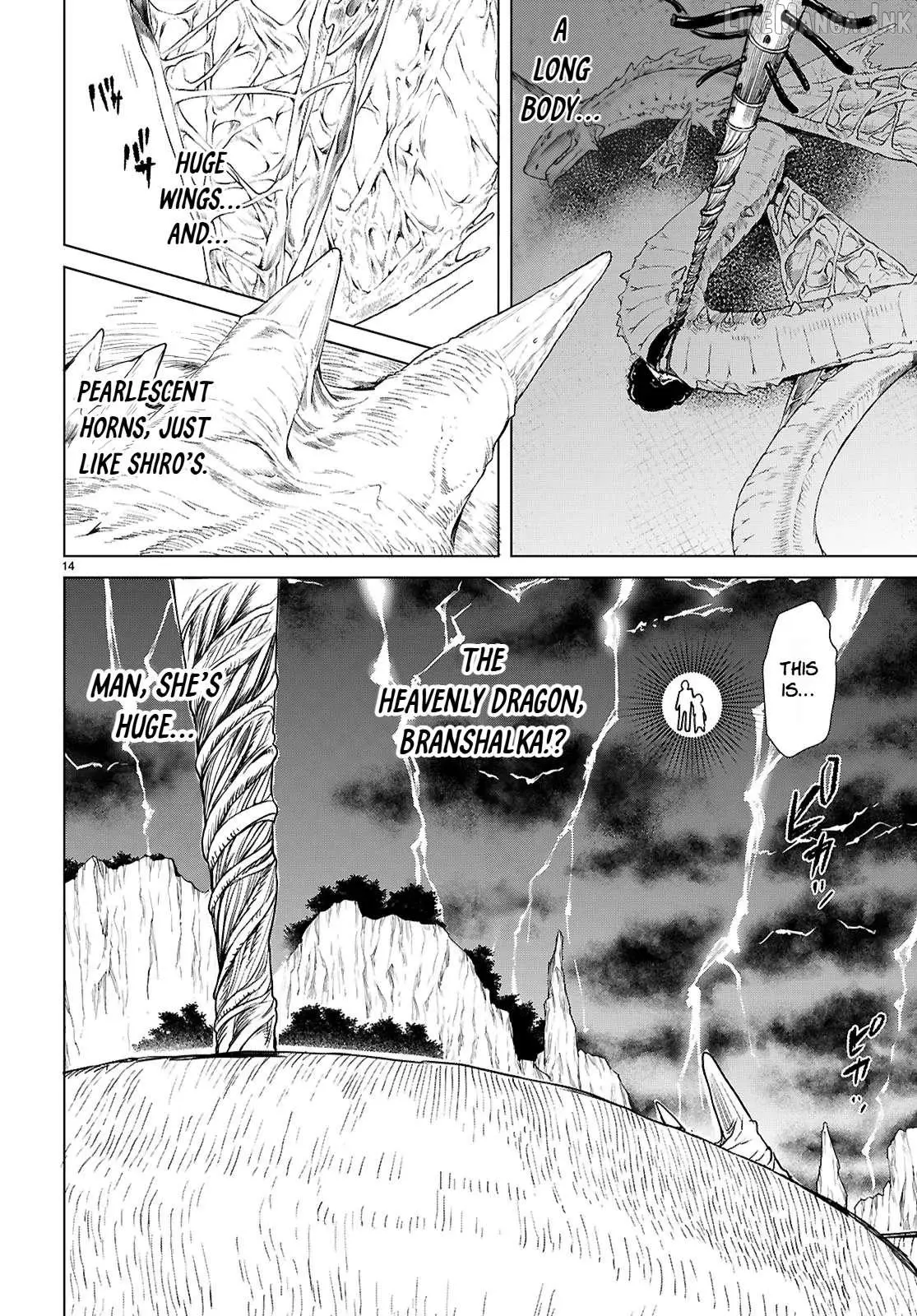 Isekai De Skill Wo Kaitai Shitara Cheat Na Yome Ga Zoushoku Shimashita: Gainen Kousa No Structure Chapter 89 page 13 - 