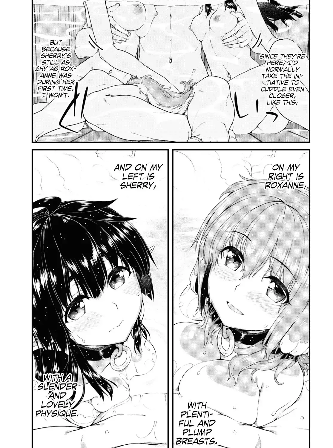 Isekai Meikyuu de Harem wo Chapter 43.5 page 15 - 