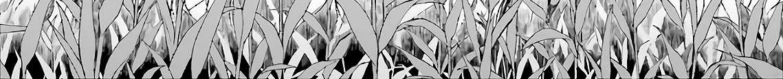 Read Isekai Picnic chapter 19 image 28 on Lezhin
