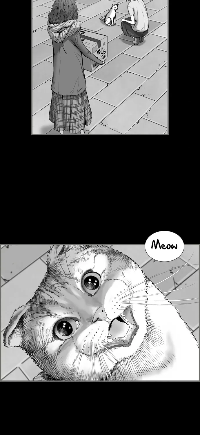Read Island Part 2 chapter 20 image 37 on Lezhin