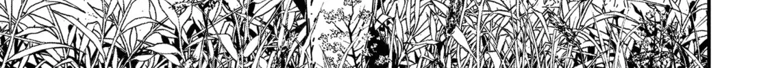 Read Issak chapter 1 image 31 on Lezhin