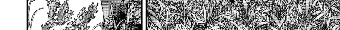 Read Issak chapter 12 image 57 on Lezhin