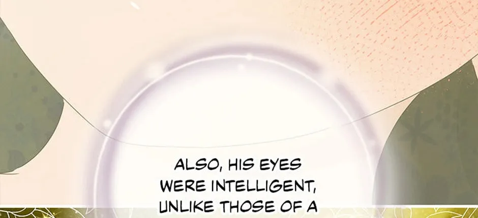 It's Not Your Baby! Chapter 74.1 page 102 - 