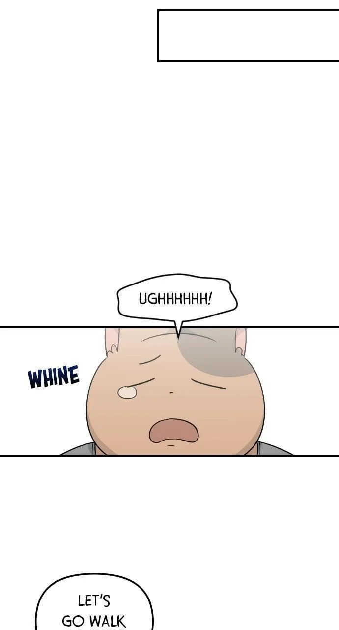Read It