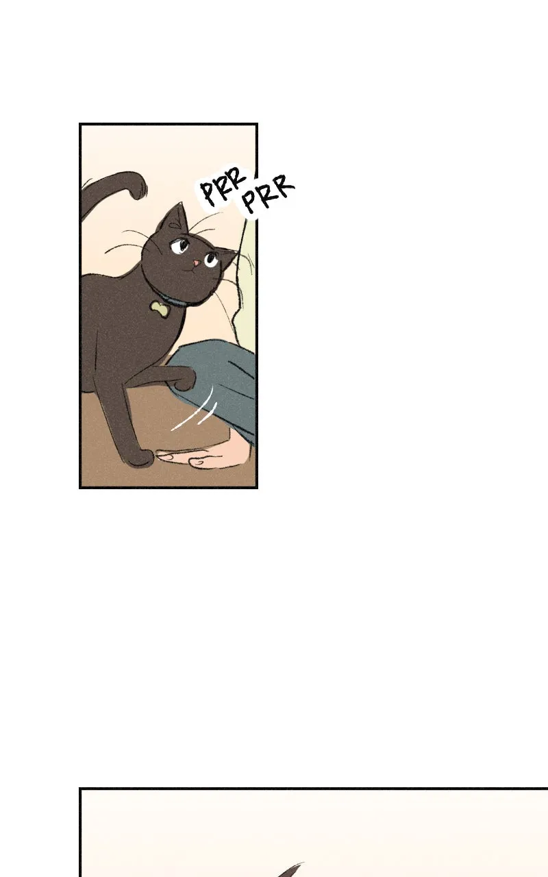 It Strikes a Chord Chapter 10 page 16 - 