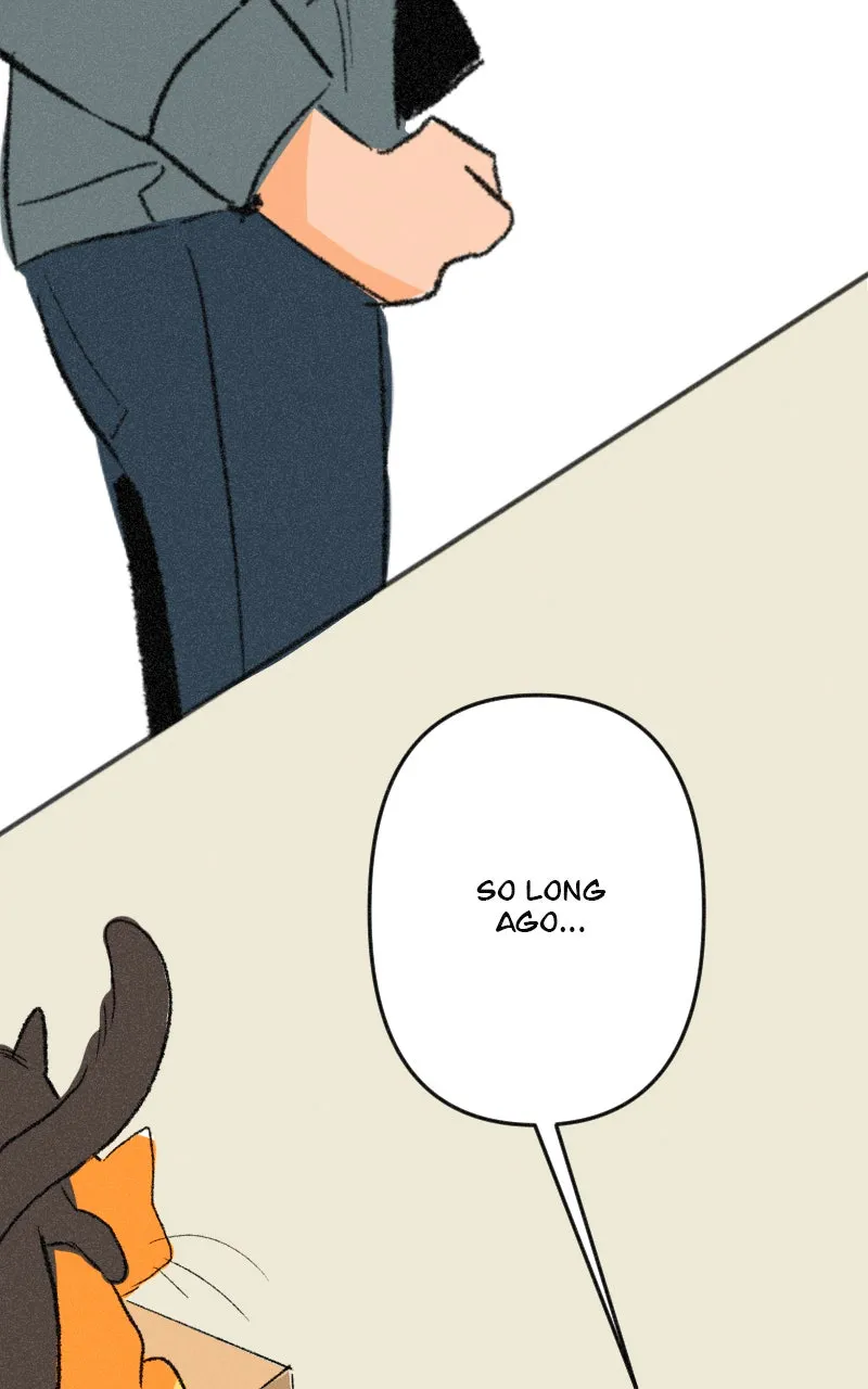 It Strikes a Chord Chapter 4 page 17 - 
