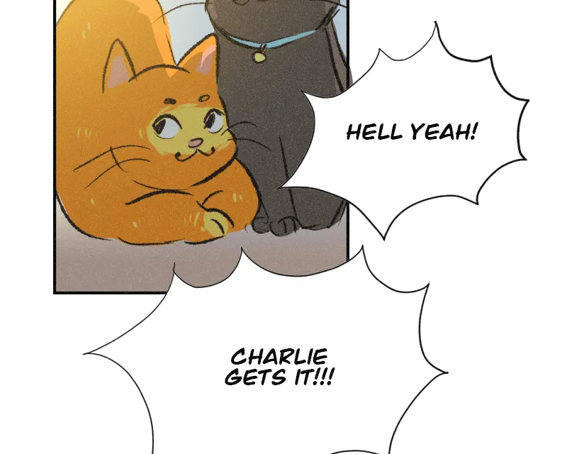 It Strikes a Chord Chapter 40 page 68 - 