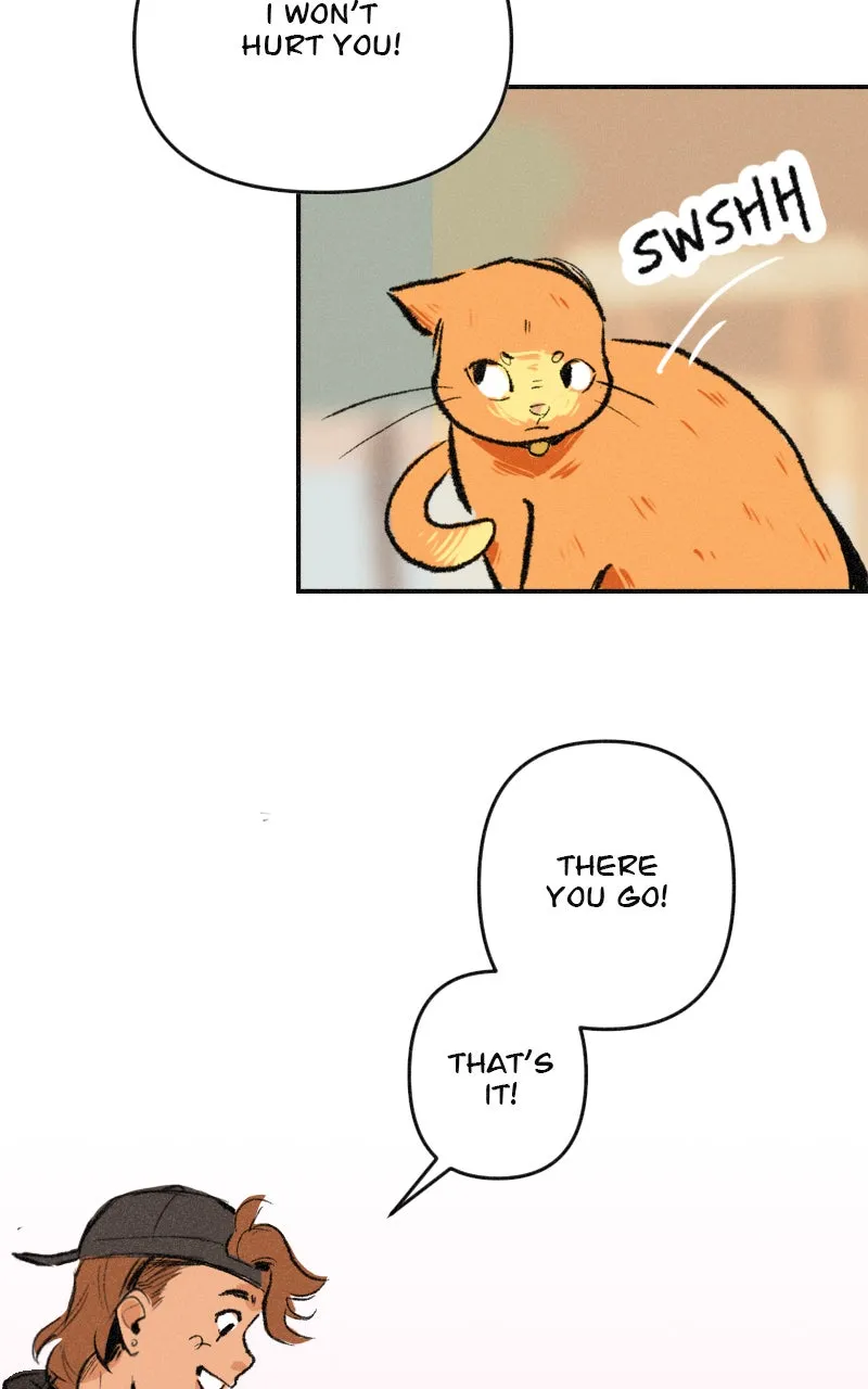 It Strikes a Chord Chapter 6 page 58 - 
