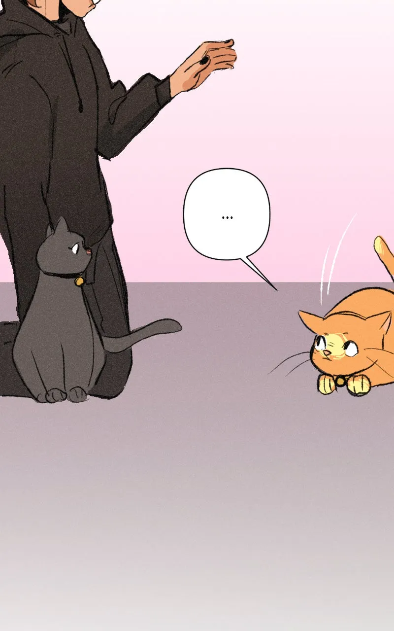It Strikes a Chord Chapter 6 page 59 - 
