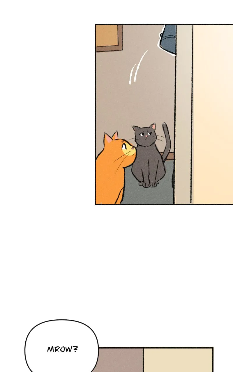 It Strikes a Chord Chapter 7 page 39 - 