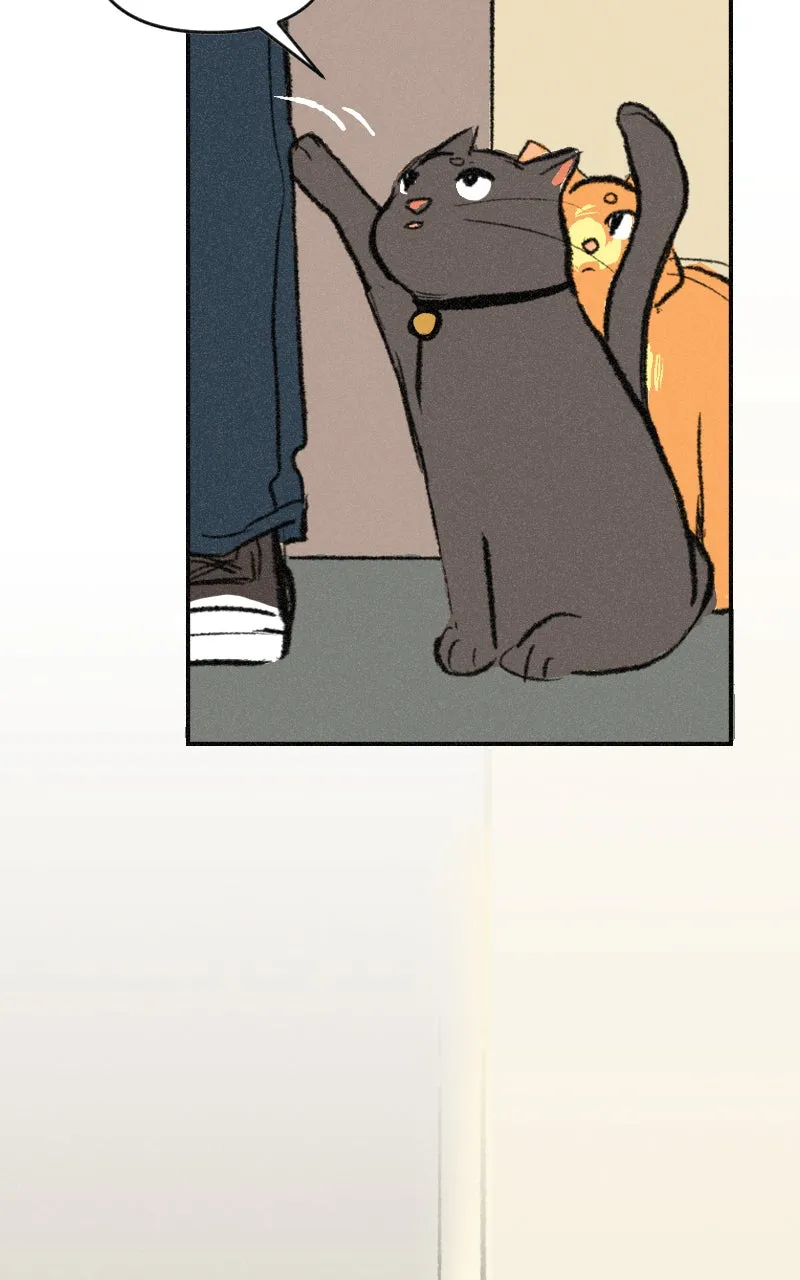 It Strikes a Chord Chapter 7 page 40 - 