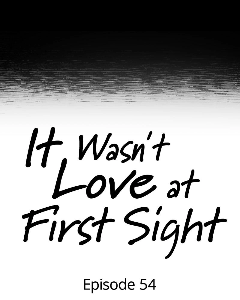 Read It Wasn’t Love At First Sight chapter 54 image 11 on Lezhin