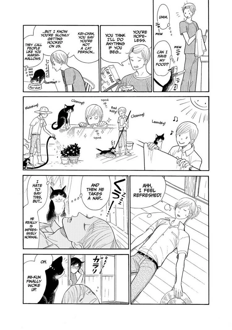Read Itoshi no Nekokke chapter 17.5 image 5 on Lezhin