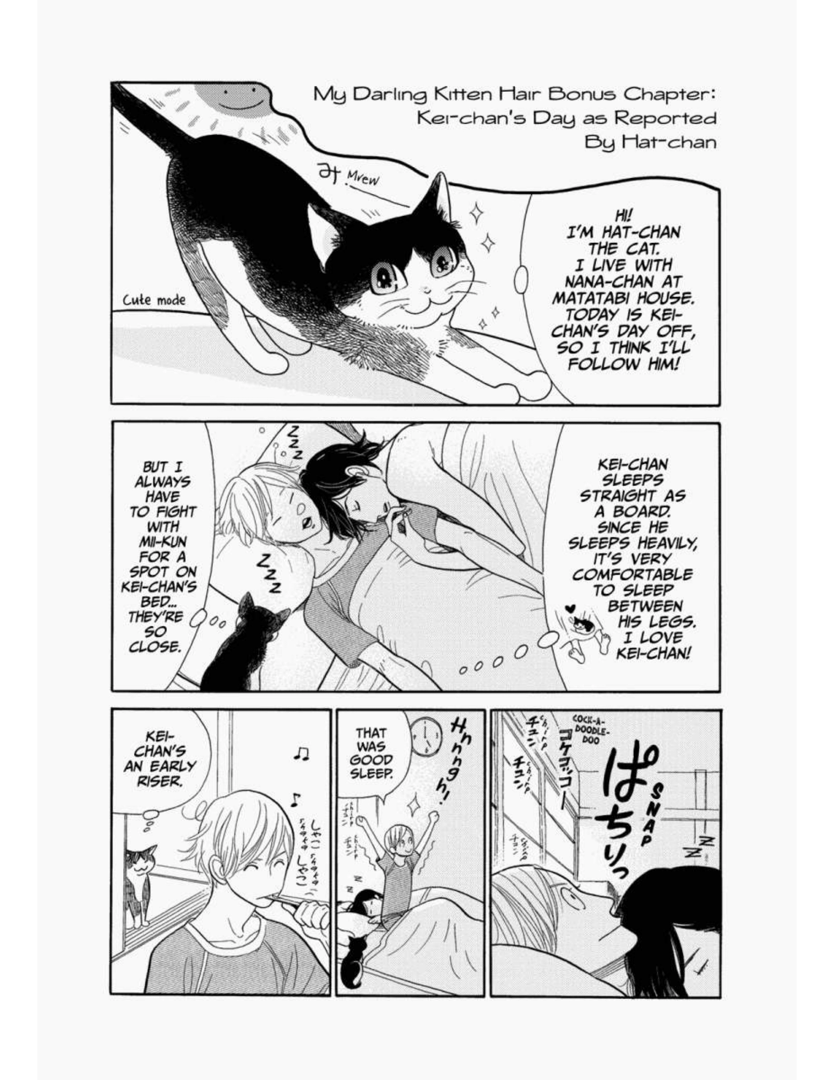 Read Itoshi no Nekokke chapter 17 image 4 on Lezhin
