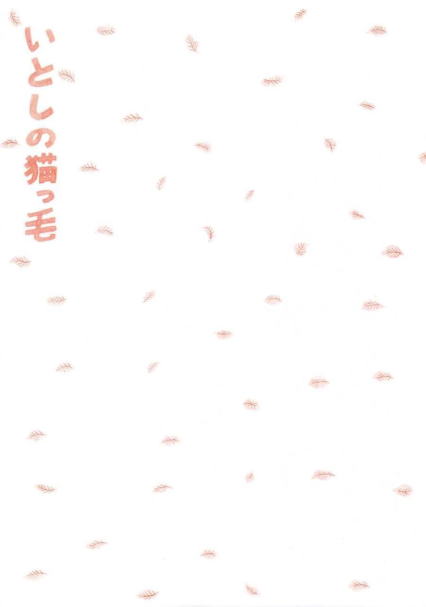 Read Itoshi no Nekokke chapter 18 image 5 on Lezhin