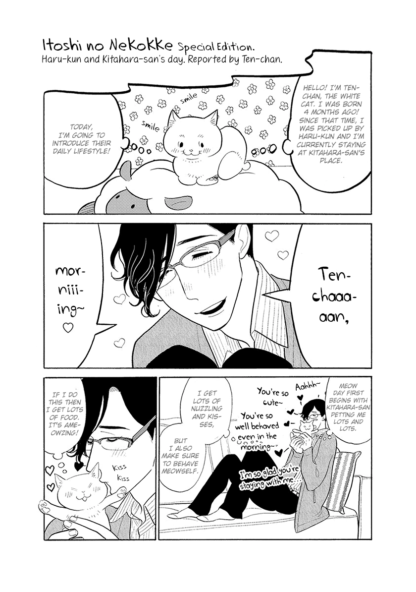 Read Itoshi no Nekokke chapter 33 image 20 on Lezhin