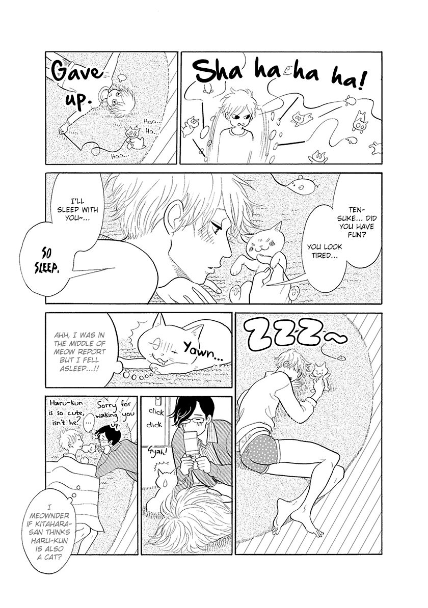 Read Itoshi no Nekokke chapter 33 image 22 on Lezhin