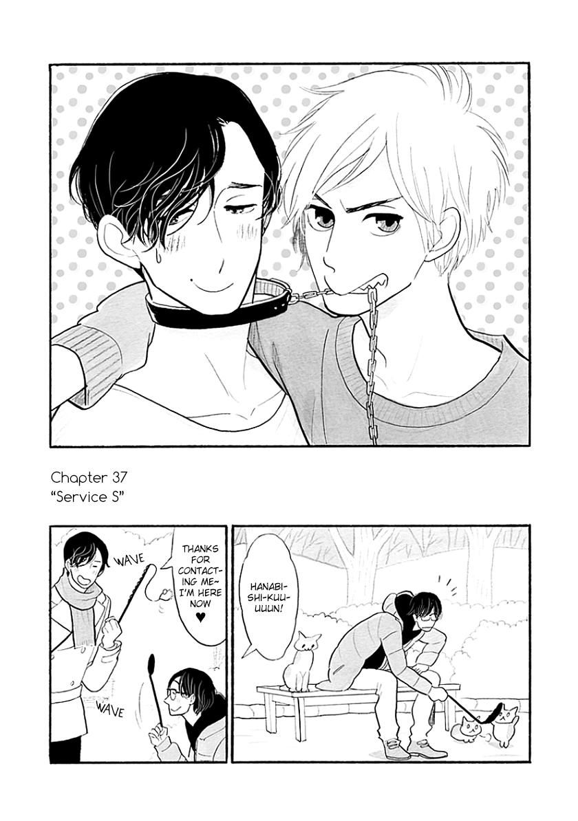 Read Itoshi no Nekokke chapter 37 image 1 on Lezhin