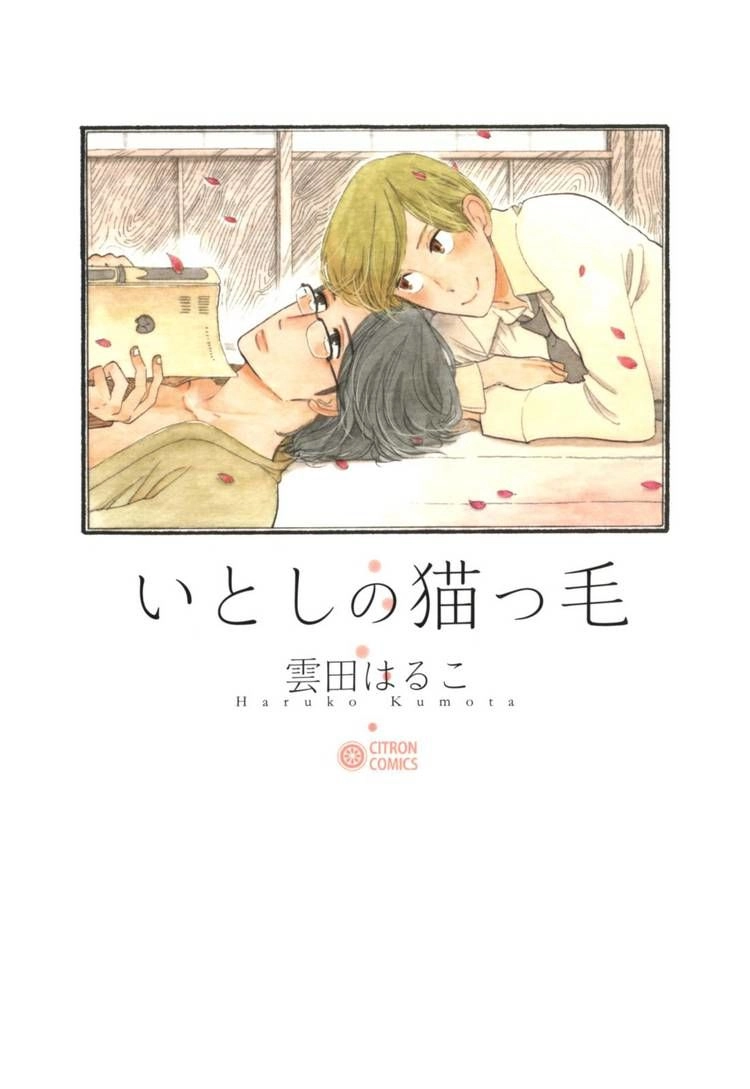 Read Itoshi no Nekokke chapter 8 image 18 on Lezhin