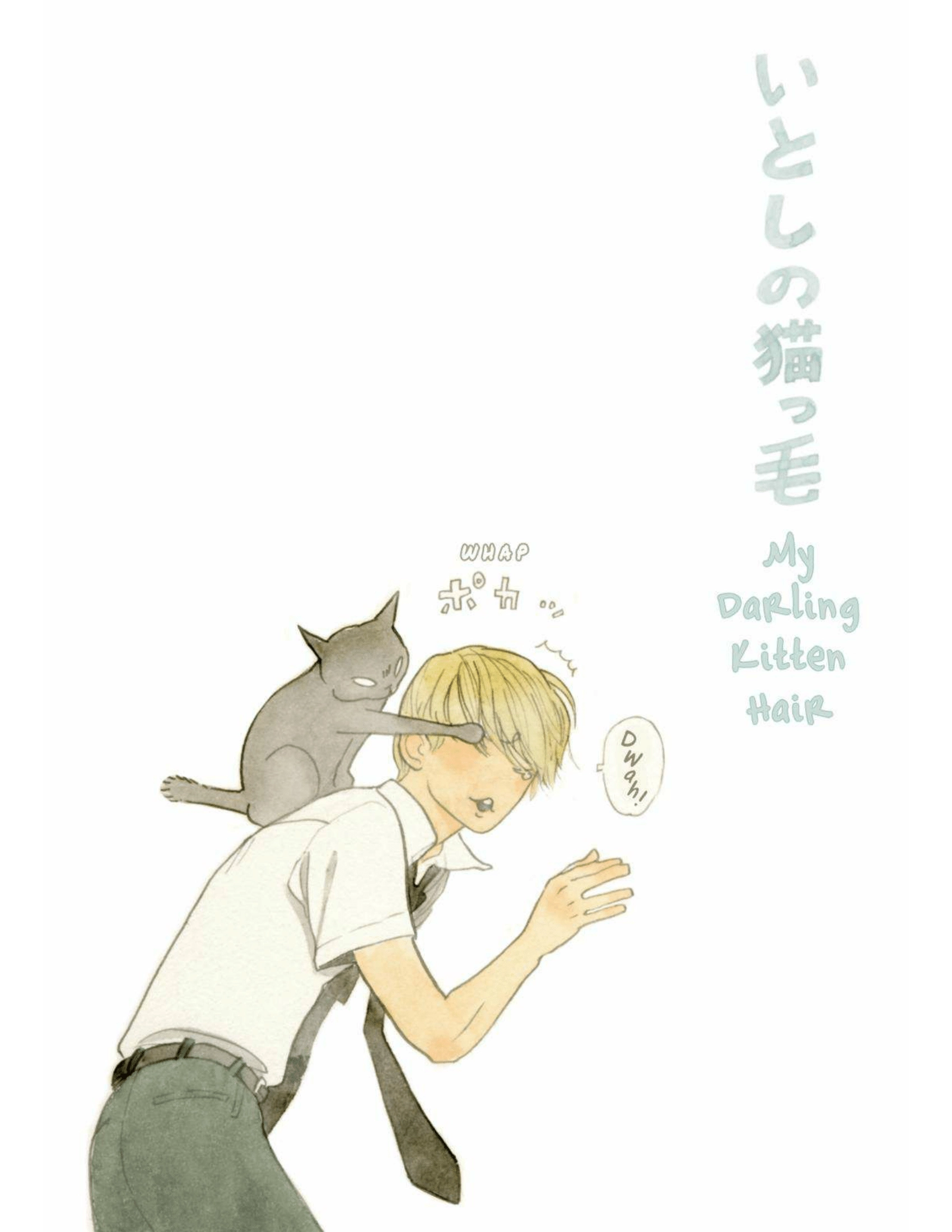 Read Itoshi no Nekokke chapter 9 image 5 on Lezhin