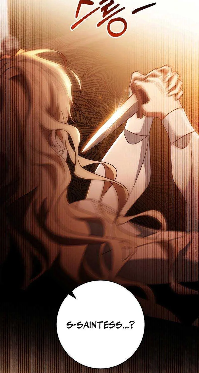 It’s My Destiny To Be The Hero’s Saviour Chapter 100 page 73 - 