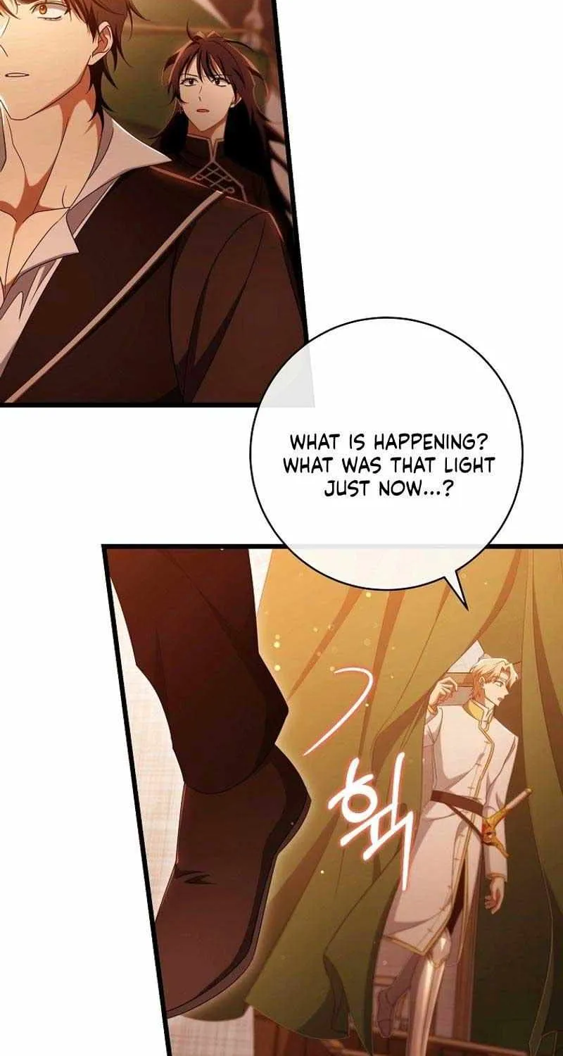 It’s My Destiny To Be The Hero’s Saviour Chapter 101 page 25 - 