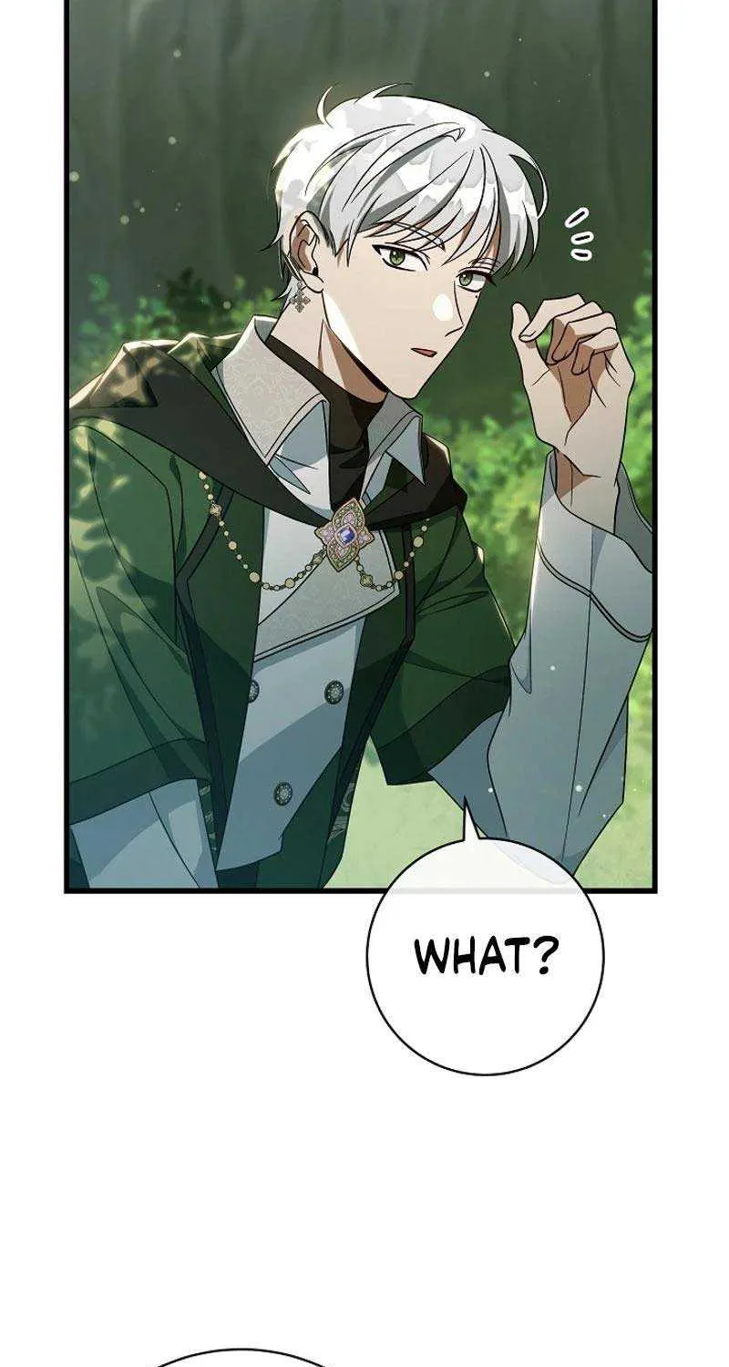It’s My Destiny To Be The Hero’s Saviour Chapter 104 page 106 - 