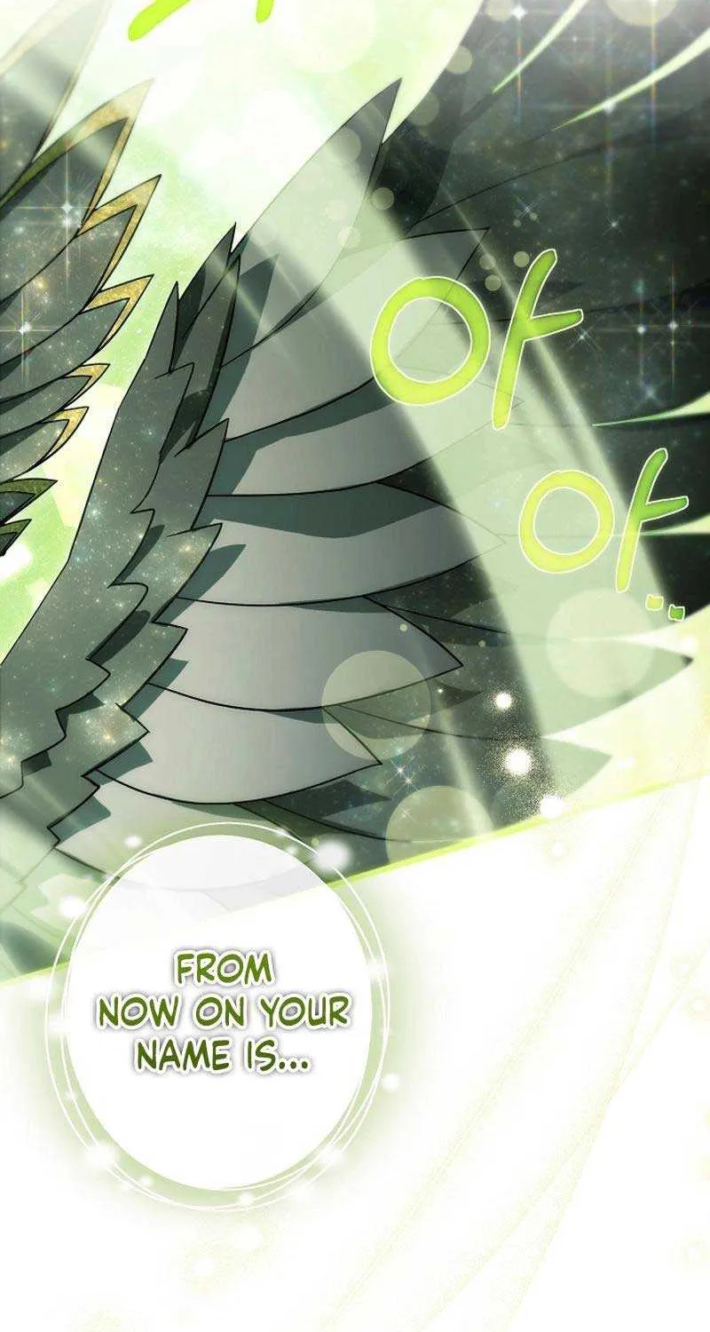 It’s My Destiny To Be The Hero’s Saviour Chapter 106 page 94 - 