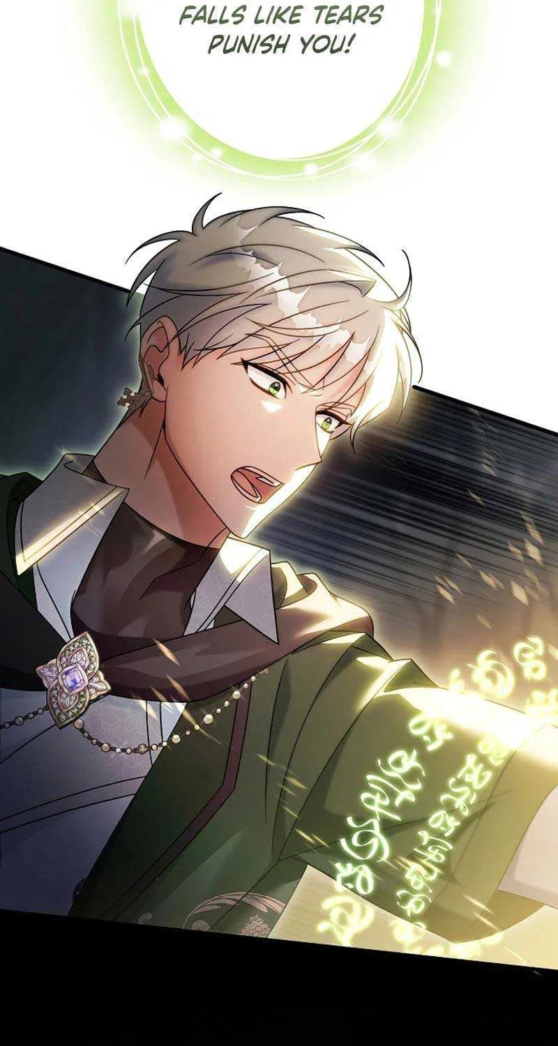 It’s My Destiny To Be The Hero’s Saviour Chapter 107 page 70 - 